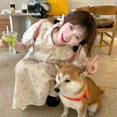 相中情书